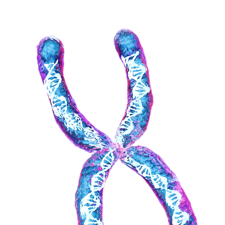 Biomarkers & advanced diagnostics