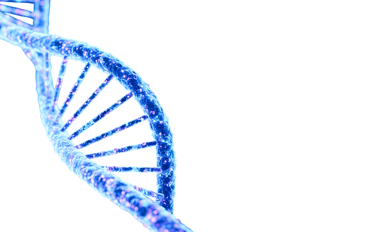 Genomic & molecular profiling
