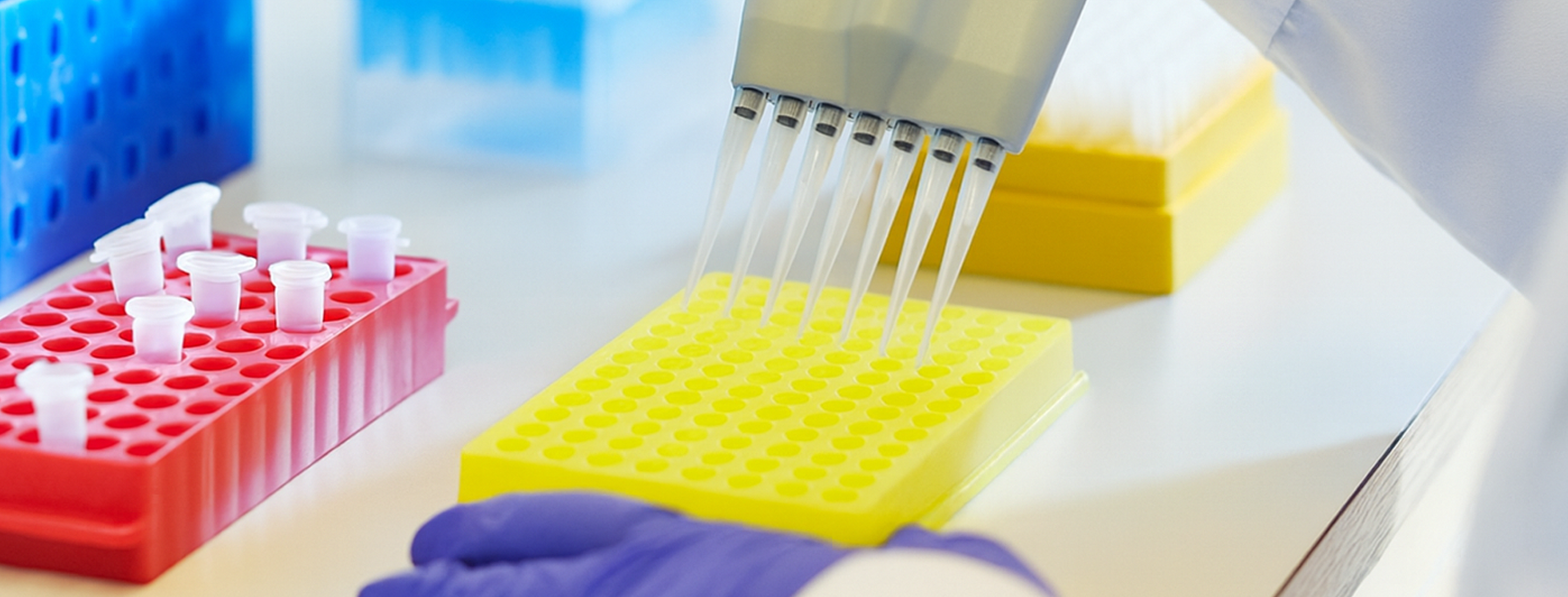 Monitoring immune response regularly