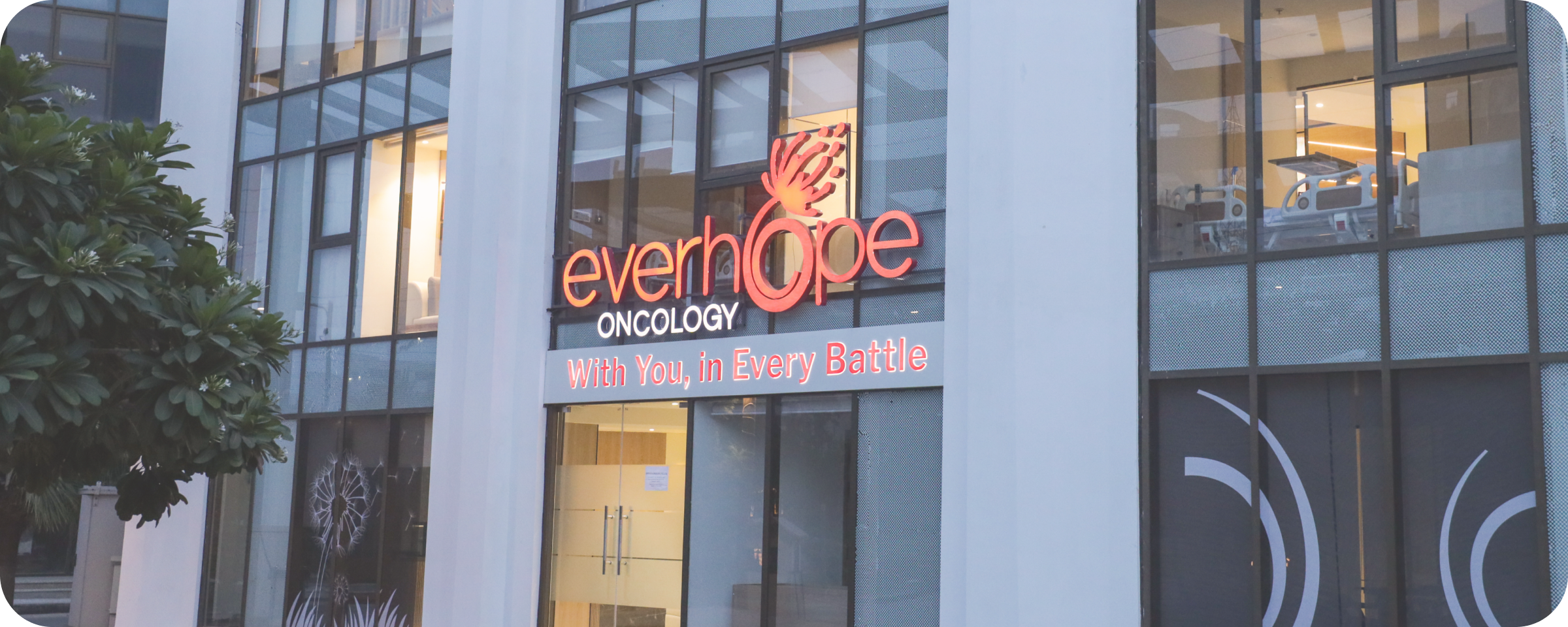 Why Choose Everhope for Immunotherapy?